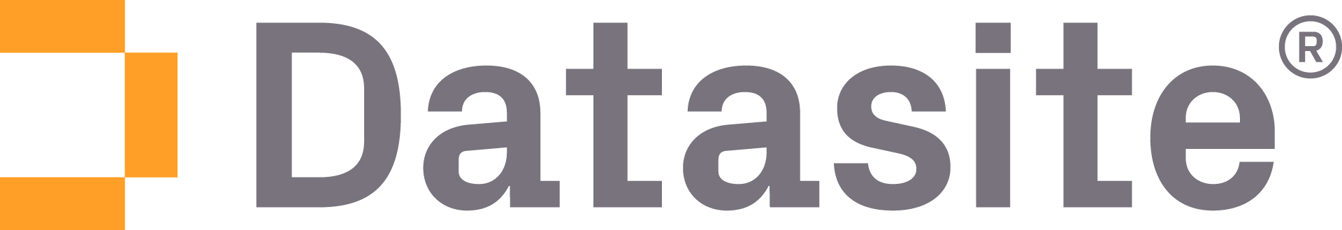 Datasite logo
